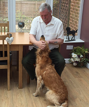 © Working Golden Retriever of Enchanted Garden