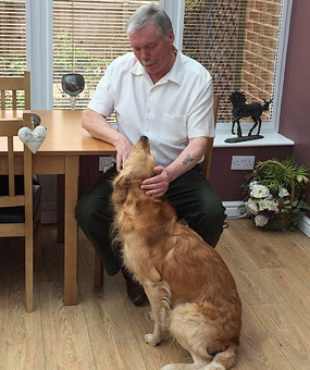 © Working Golden Retriever of Enchanted Garden