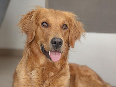 W U R F P L A N U N G