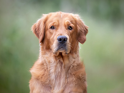 W U R F P L A N U N G