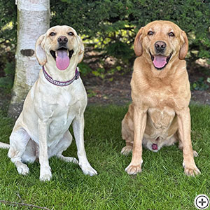 Quickstepers Milky Way