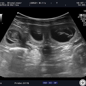 Quickstepers Milky Way