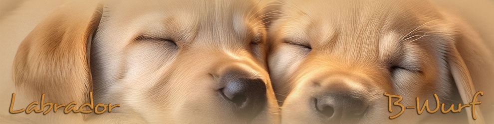 W U R F P L A N U N G